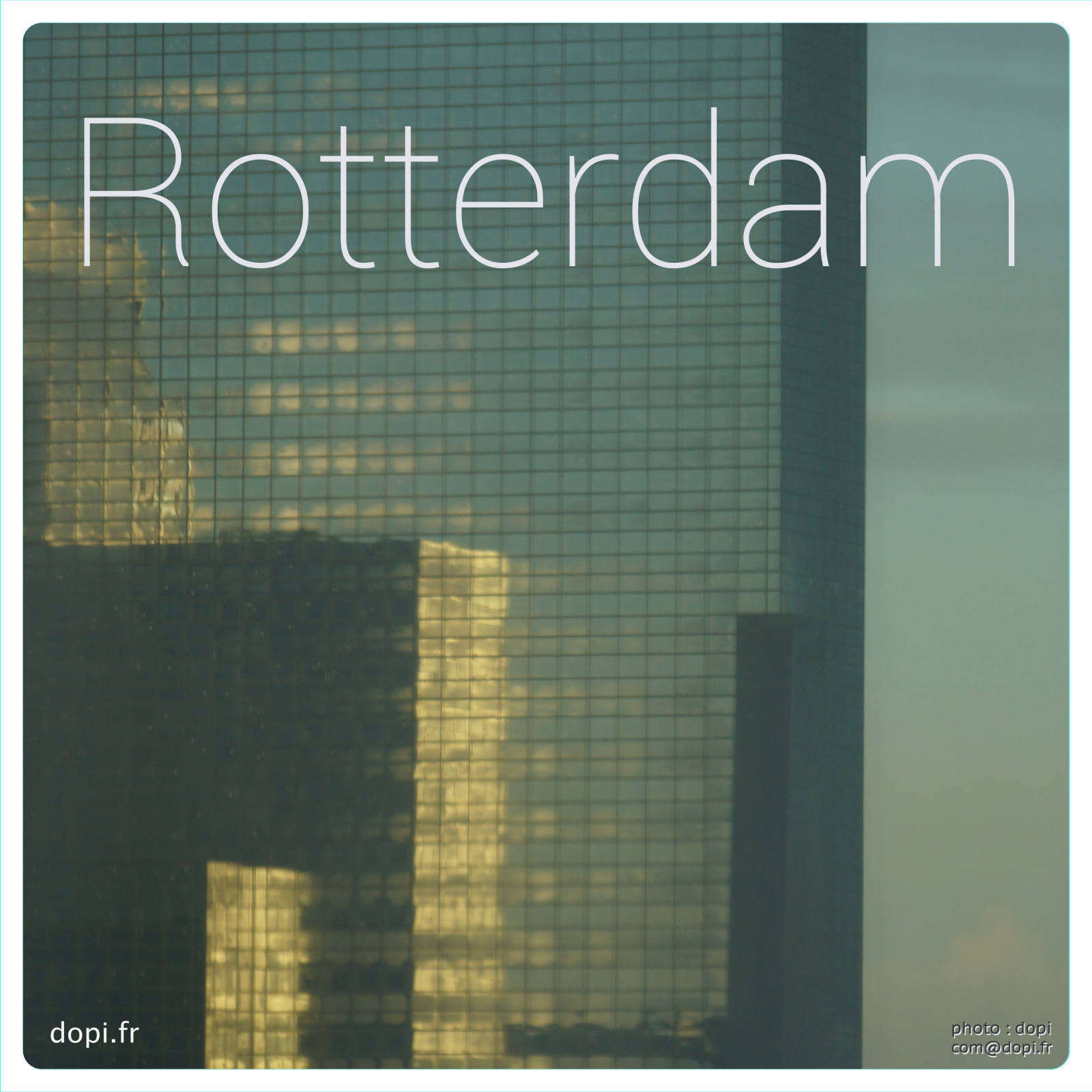 00015 5rot,medium large.2x.1483111492